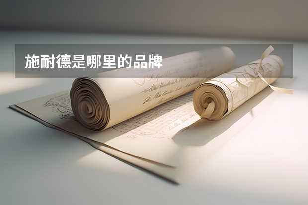 施耐德是哪里的品牌