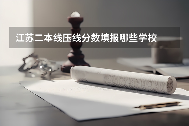 江苏二本线压线分数填报哪些学校