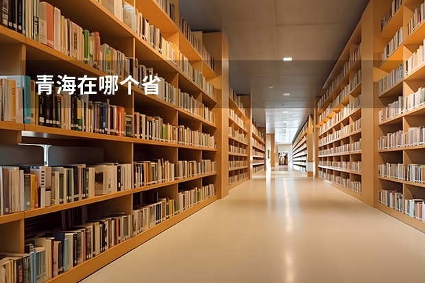 青海在哪个省