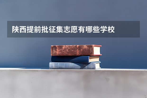 陕西提前批征集志愿有哪些学校