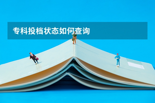 专科投档状态如何查询