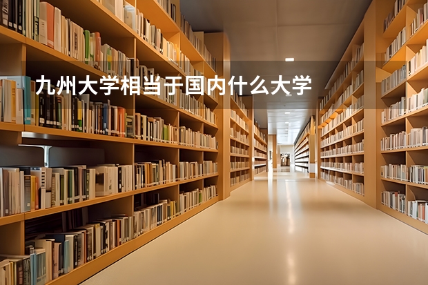 九州大学相当于国内什么大学