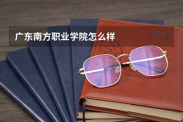 广东南方职业学院怎么样