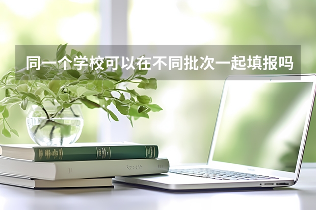 同一个学校可以在不同批次一起填报吗？