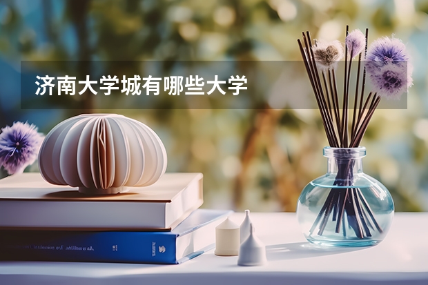 济南大学城有哪些大学