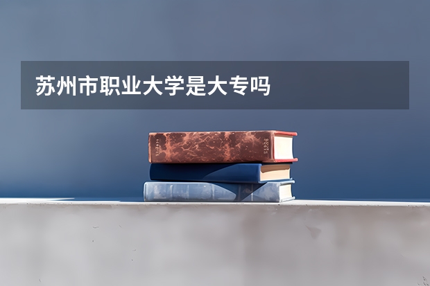 苏州市职业大学是大专吗