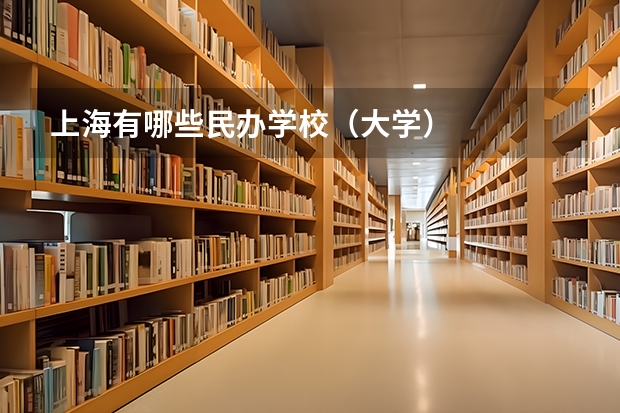 上海有哪些民办学校（大学）