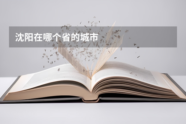 沈阳在哪个省的城市