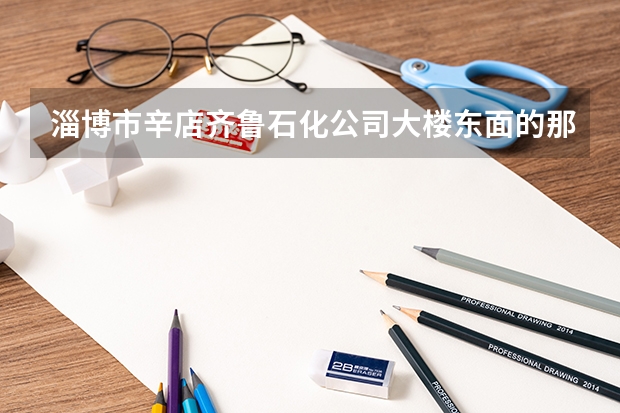 淄博市辛店齐鲁石化公司大楼东面的那个职业学院叫什么名字，什么性质的学校？