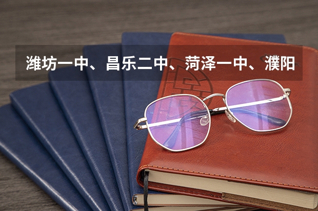 潍坊一中、昌乐二中、菏泽一中、濮阳油田一中哪个好些？