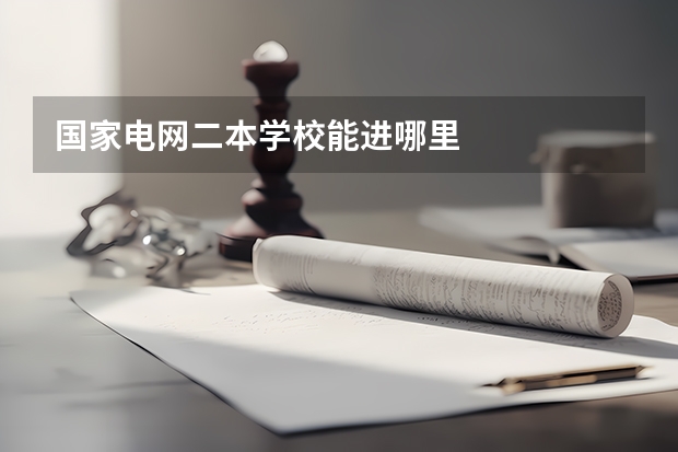 国家电网二本学校能进哪里