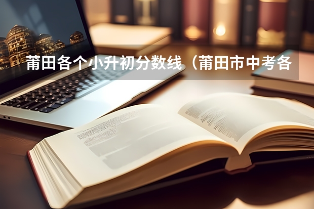 莆田各个小升初分数线（莆田市中考各学校录取分数线）