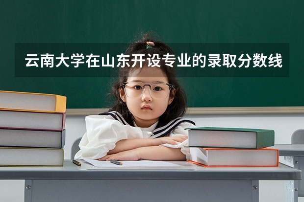 云南大学在山东开设专业的录取分数线