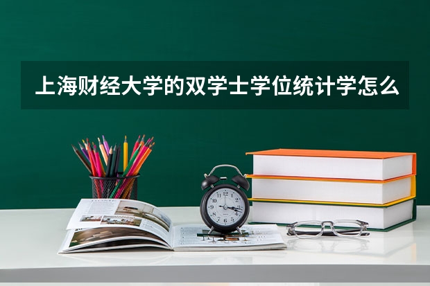 上海财经大学的双学士学位统计学怎么样