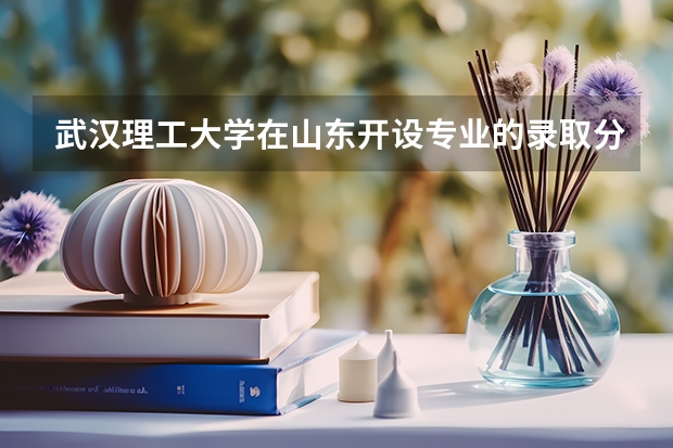 武汉理工大学在山东开设专业的录取分数线