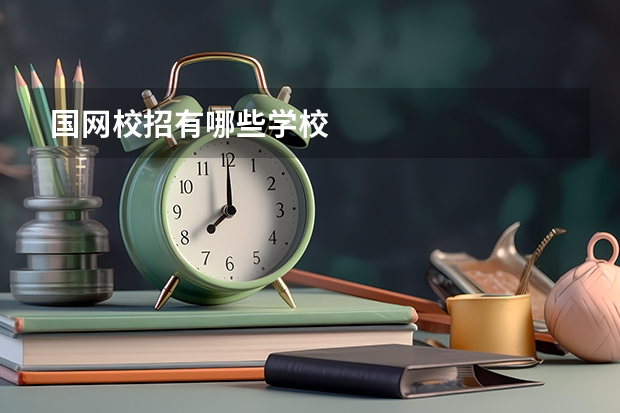 国网校招有哪些学校