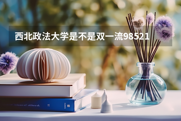 西北政法大学是不是双一流/985/211学校（录取分数参考）