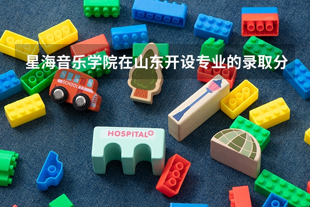 星海音乐学院在山东开设专业的录取分数线