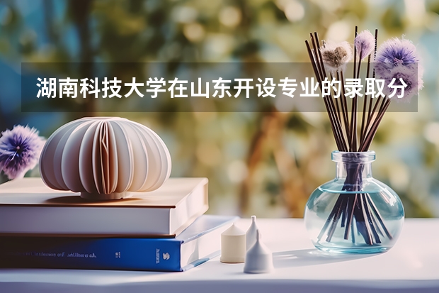 湖南科技大学在山东开设专业的录取分数线