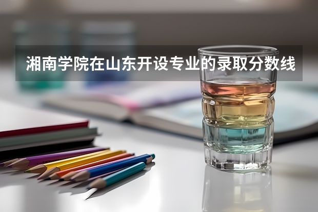 湘南学院在山东开设专业的录取分数线