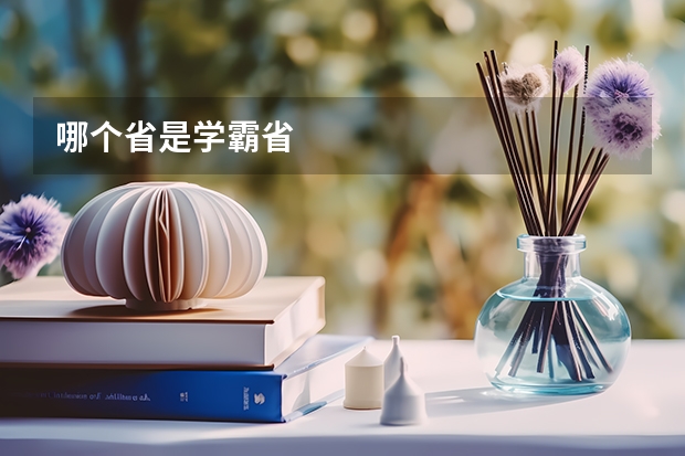 哪个省是学霸省