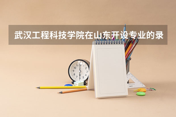 武汉工程科技学院在山东开设专业的录取分数线