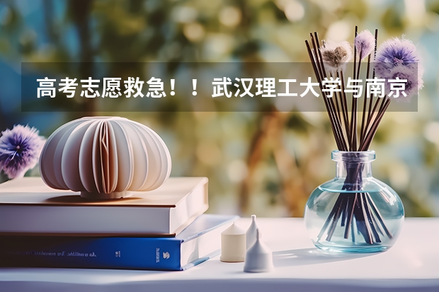 高考志愿救急！！武汉理工大学与南京师范大学纠结中。。。（救急！！高考填志愿湖南理科526分，这样填可以不？湖南理工 湖南文理 城市学院 邵阳学院 怀化学院。）