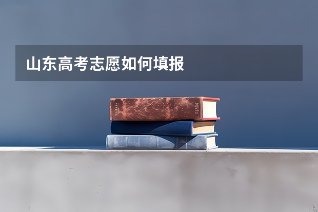 山东高考志愿如何填报