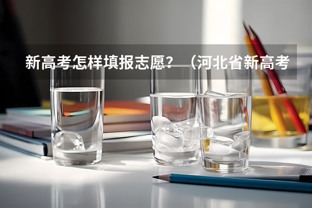 新高考怎样填报志愿？（河北省新高考志愿填报规则）