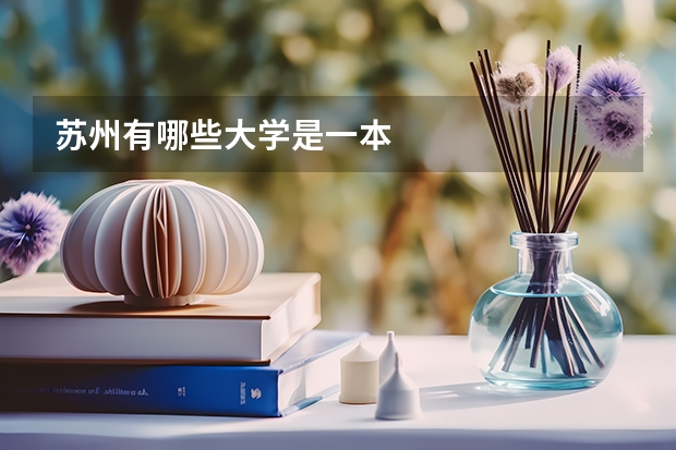 苏州有哪些大学是一本