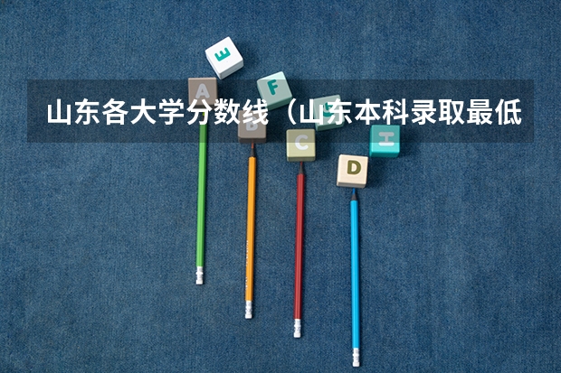 山东各大学分数线（山东本科录取最低位次）