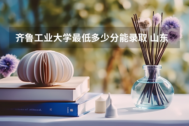 齐鲁工业大学最低多少分能录取 山东往年分数多少