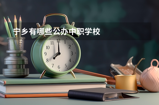 宁乡有哪些公办中职学校