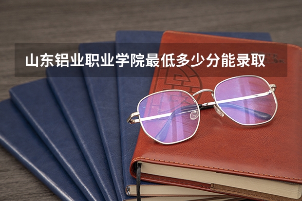 山东铝业职业学院最低多少分能录取 山东往年分数多少