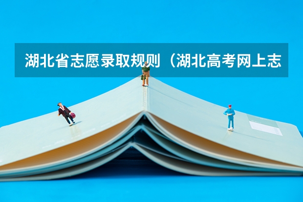 湖北省志愿录取规则（湖北高考网上志愿填报流程）