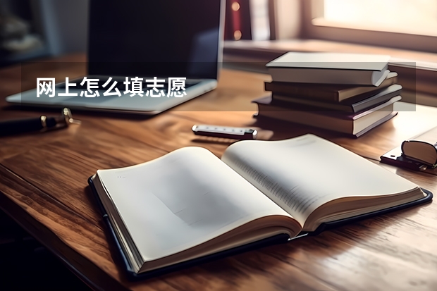 网上怎么填志愿