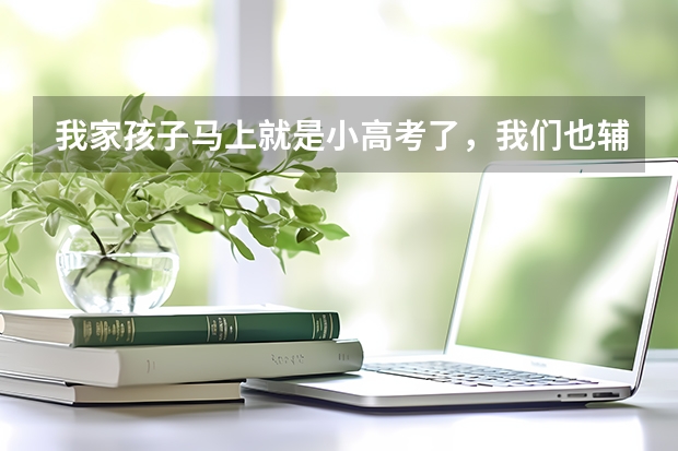 我家孩子马上就是小高考了,我们也辅导不了,想给他报个辅导班,德松教育还好吗?