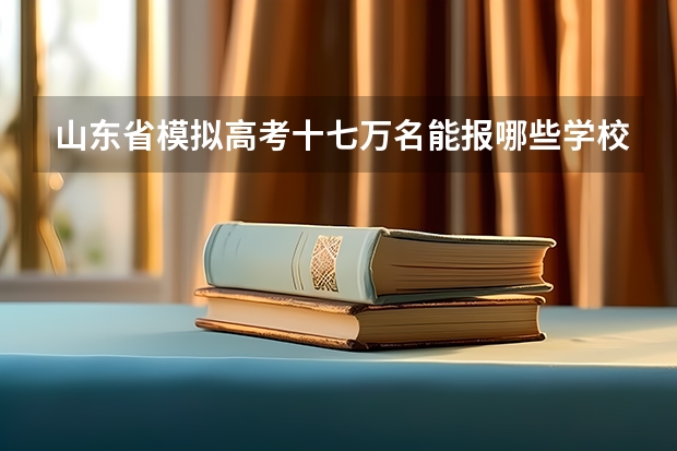 山东省模拟高考十七万名能报哪些学校?