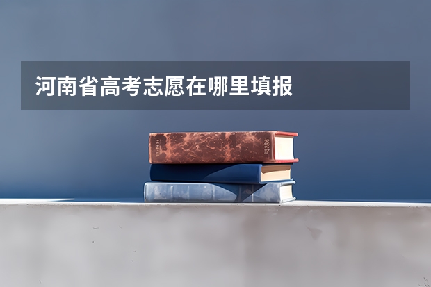 河南省高考志愿在哪里填报