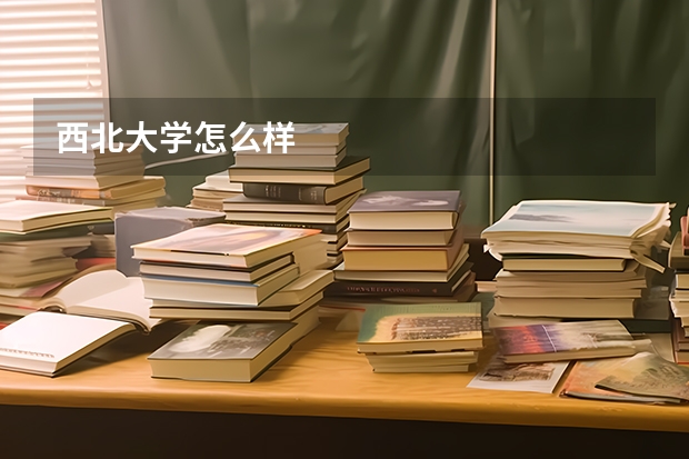 西北大学怎么样