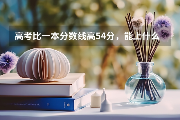 高考比一本分数线高54分，能上什么大学什么专业