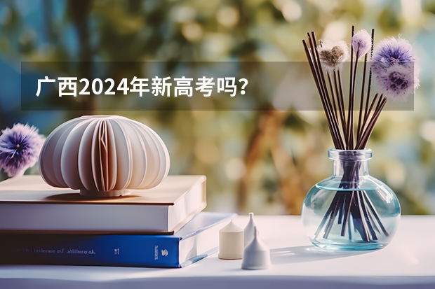 广西2024年新高考吗？