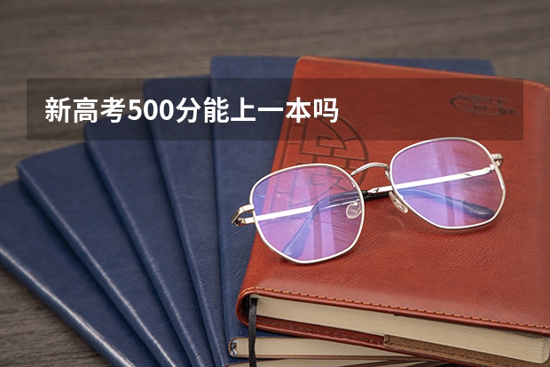 新高考500分能上一本吗