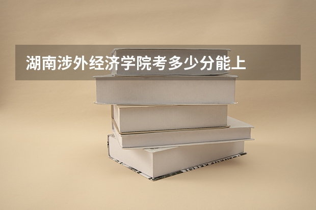 湖南涉外经济学院考多少分能上