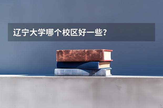 辽宁大学哪个校区好一些？