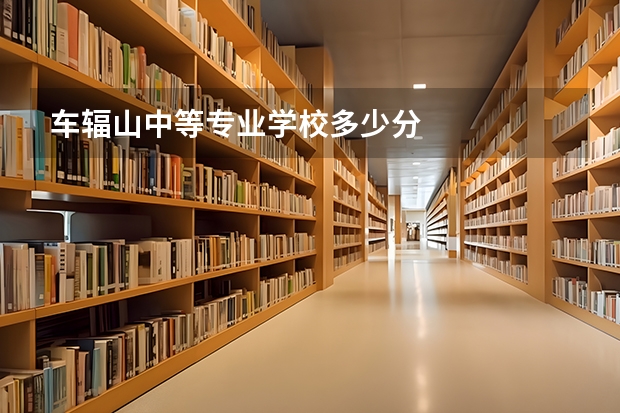 车辐山中等专业学校多少分