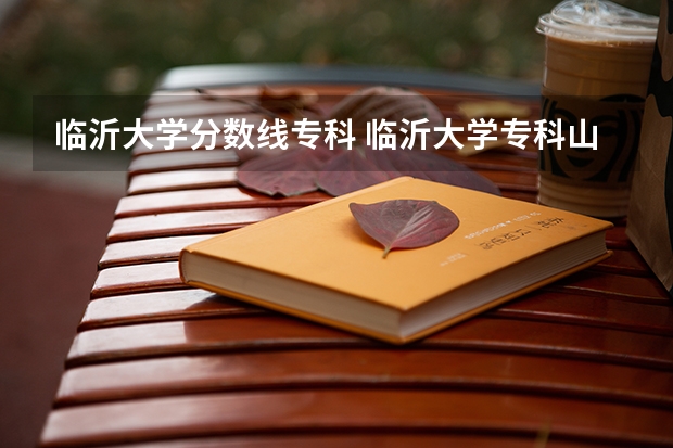 临沂大学分数线专科 临沂大学专科山东录取分数线