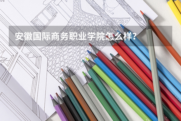 安徽国际商务职业学院怎么样？