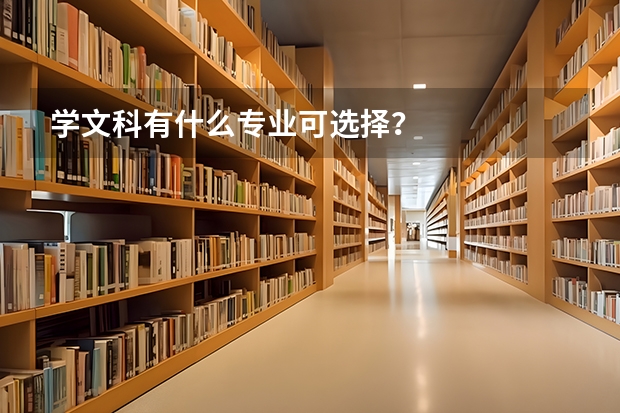 学文科有什么专业可选择？