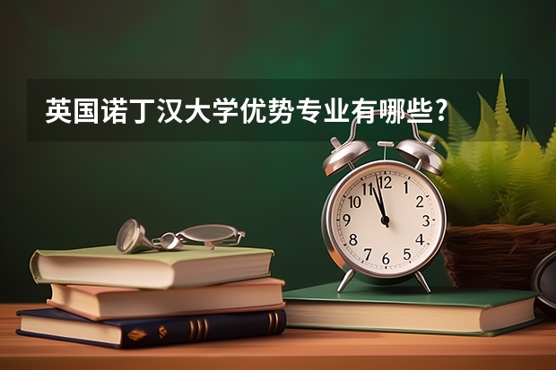 英国诺丁汉大学优势专业有哪些?